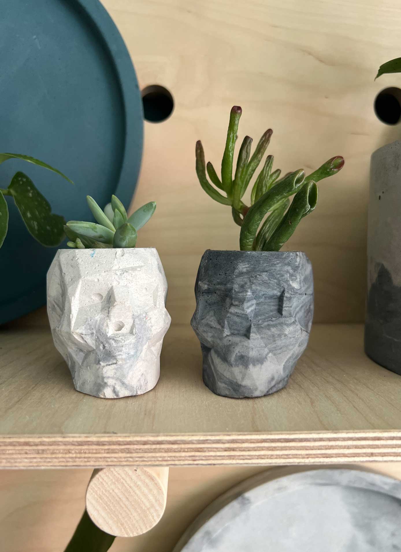 Mini Skull Planter