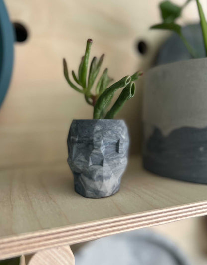 Mini Skull Planter