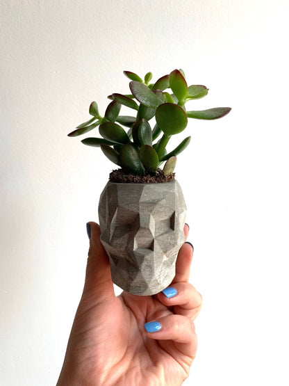 Mini Skull Planter