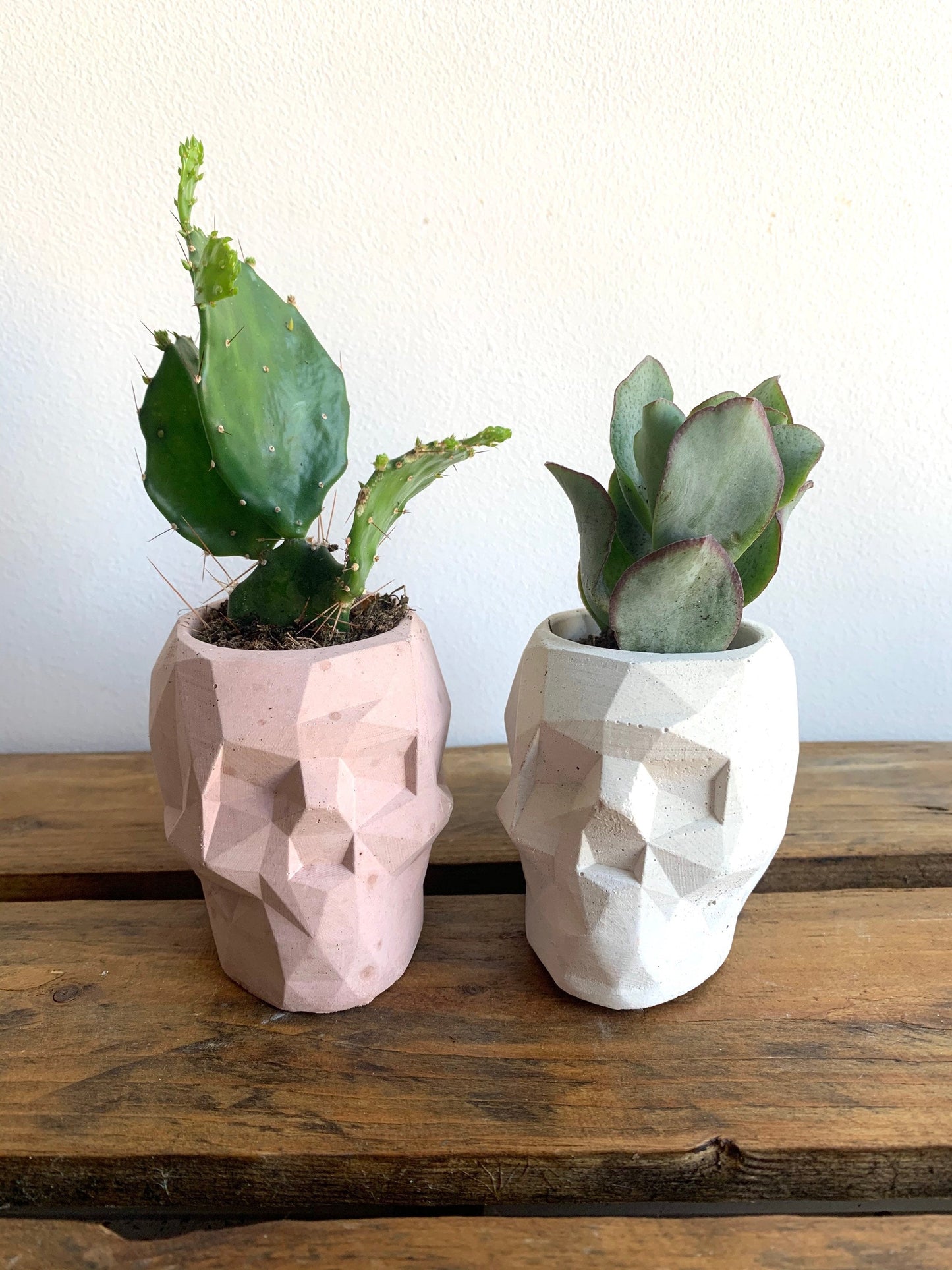 Mini Skull Planter